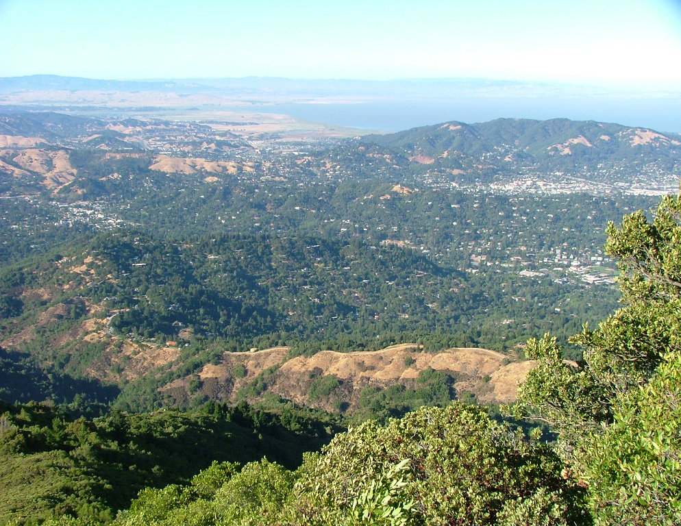 bay_area_seismic_design_-_v13004020.jpg